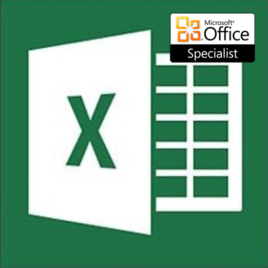 Excel Specialist
